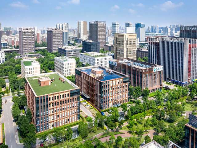 四川金钗石斛哪里有