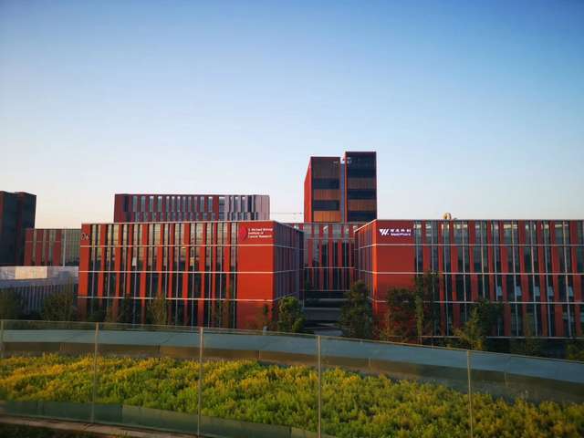 职业西装订做要多少钱