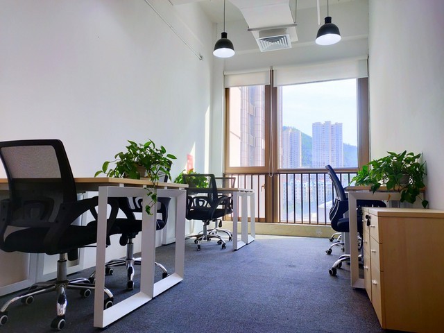 广东半成品用土豆粉全粉价格