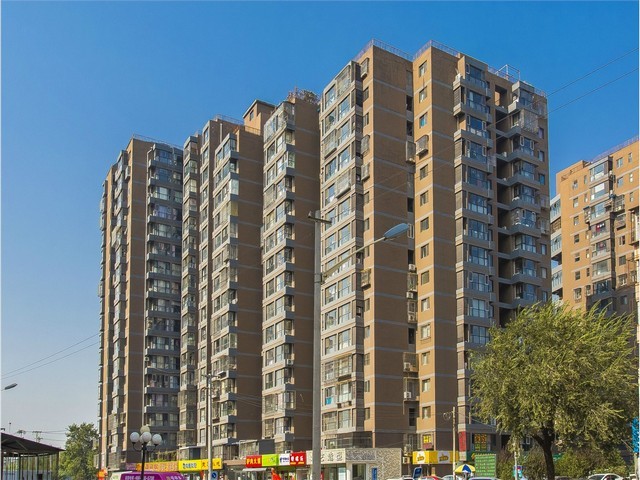 金山区吸甲醛植物租赁